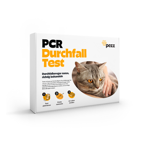 Katzen Durchfalltest PCR