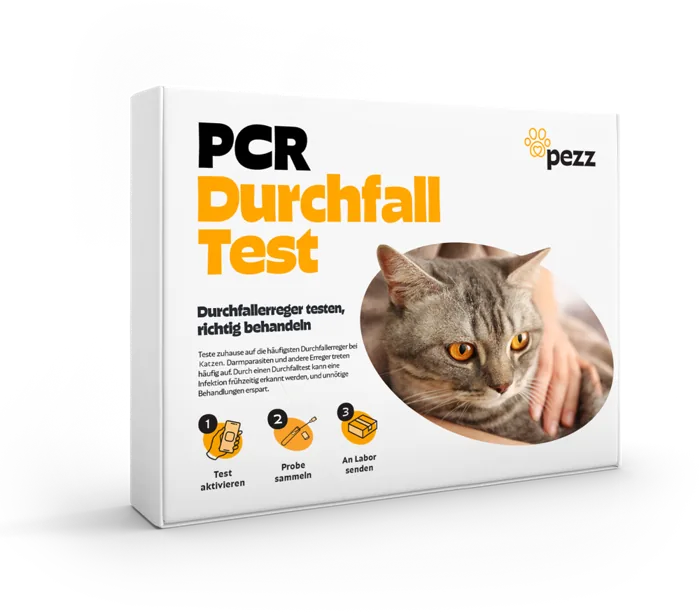 Pezz PCR-Durchfalltest für Katzen, Verpackung