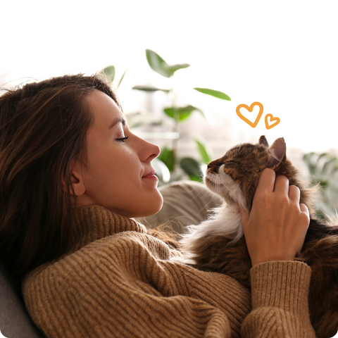 Wurmtest, Urintest, Verdauungstest uvm. für Hunde und Katzen.