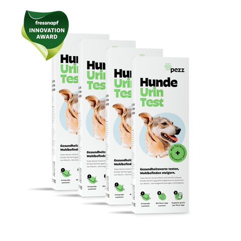 Hunde Urintest