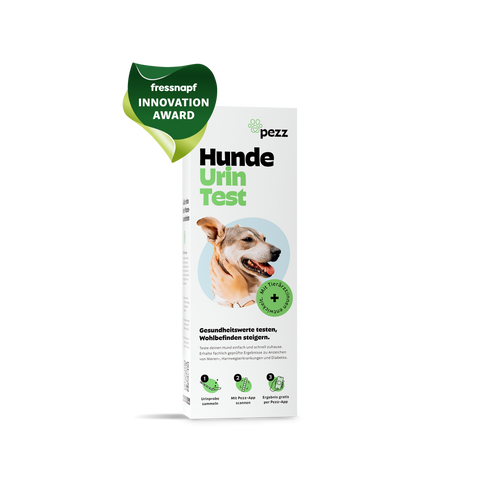 Hunde Urintest