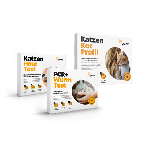 Dein Vorsorge-Testpaket für Katzen