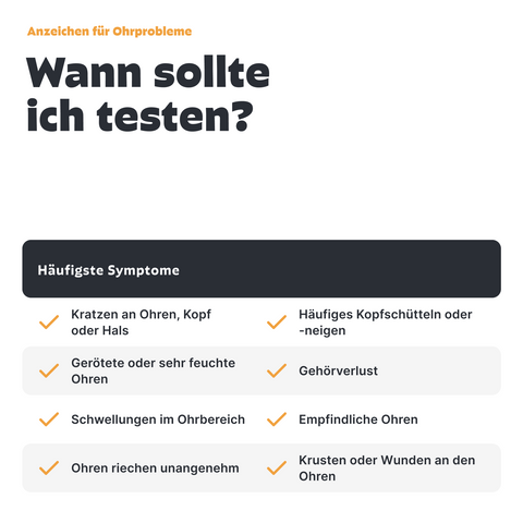 Hunde Ohreninfektionstest