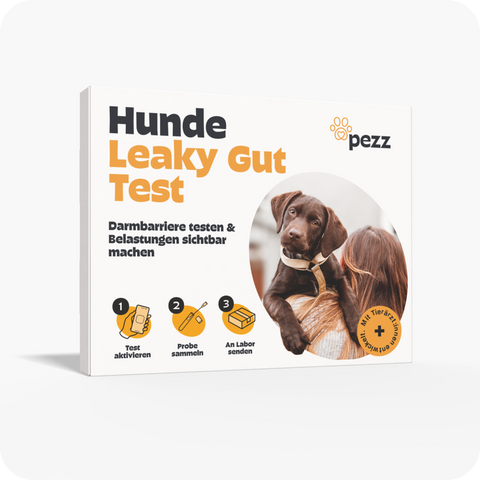 Leaky Gut Tests