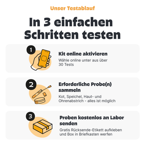 Pezz Labor Test Kit