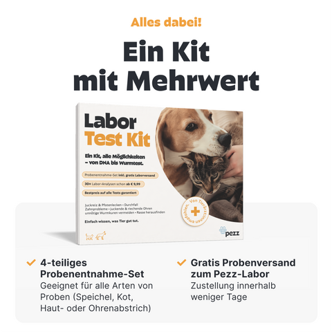 Pezz Labor Test Kit