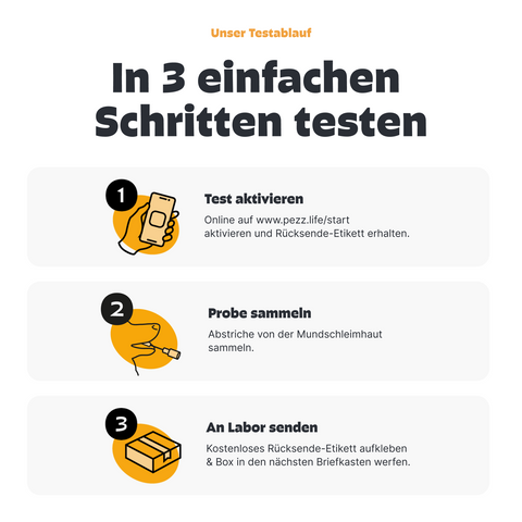 Hunde Rassebestimmung & MDR1 & GenScreen DNA-Test