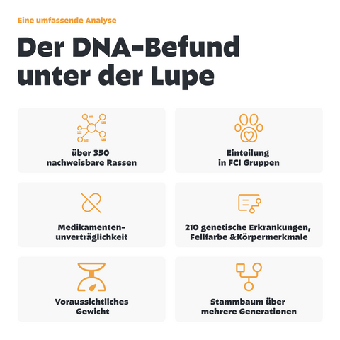 Hunde Rassebestimmung & MDR1 & GenScreen DNA-Test