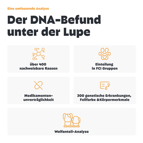 Hunde DNA Premium Test