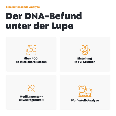 Hunde Rasse & MDR1 DNA-Test