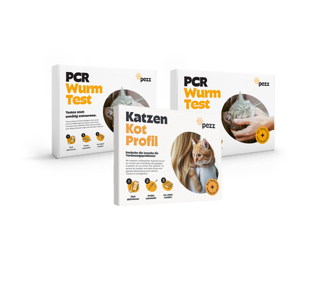 Jahres-Vorsorgepaket für Katzen