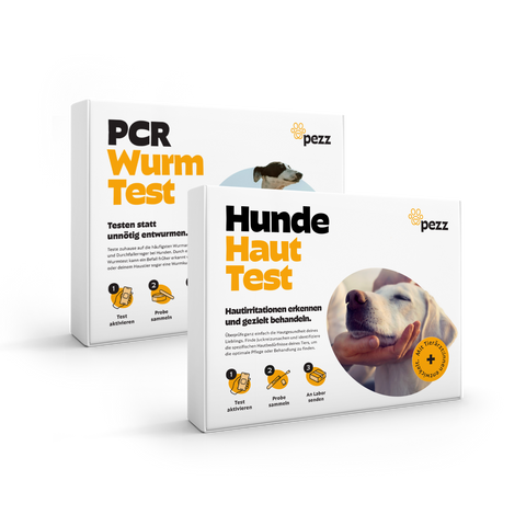 2in1 Analysen: Wurmtest PCR und Haut- & Juckreiztest für Hunde