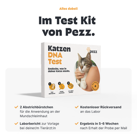 Katzen DNA Test