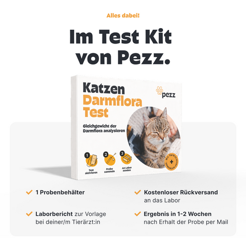 Katzen Darmfloratest
