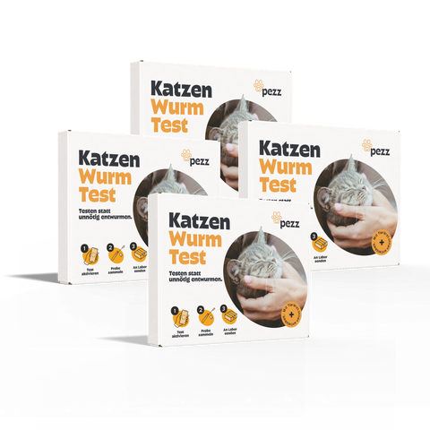 Katzen Wurmtest