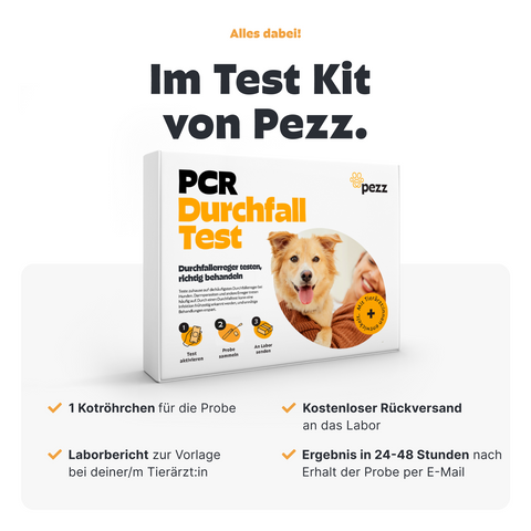 Hunde Durchfalltest PCR