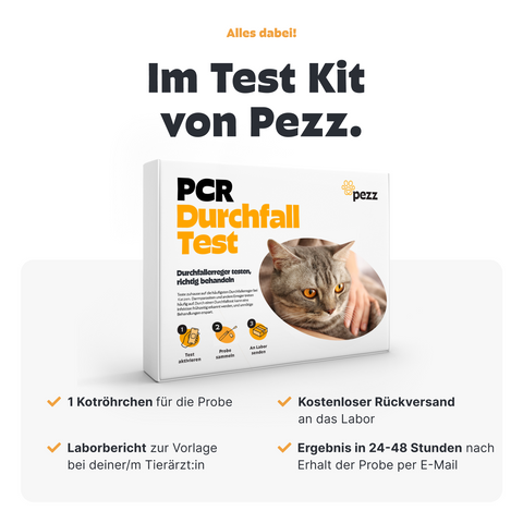 Katzen Durchfalltest PCR