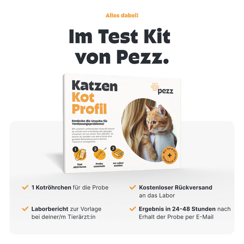 Großes Kotprofil für Katzen