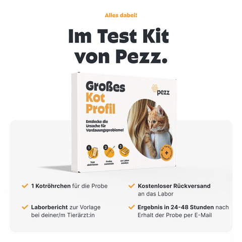 Große Kotprofil für Katzen