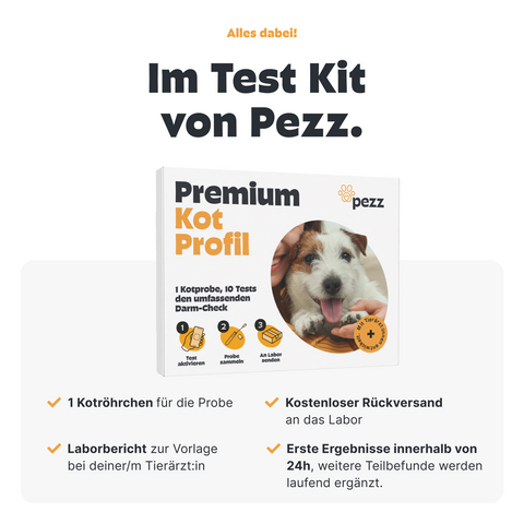 kotprobe hund aufbewahren Hunde Kotprofil Premium |Der umfassendste Darm-Check mit 10 Tests aus nur einer – Pezz life Menge:80 kg Kühlschrank richtig einräumen: So active_product