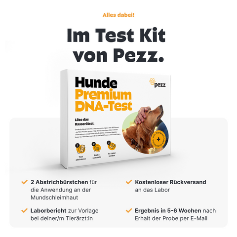 Hunde DNA Premium Test
