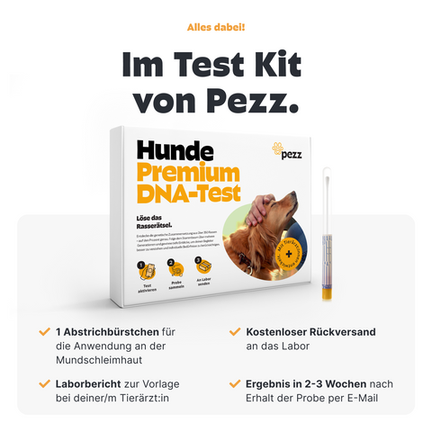 Hunde Rassebestimmung & MDR1 & GenScreen DNA-Test