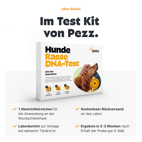 Hunde Rassebestimmung DNA-Test