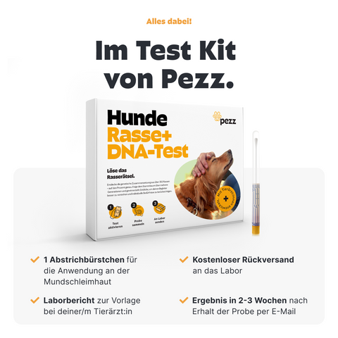 Hunde Rasse & MDR1 DNA-Test