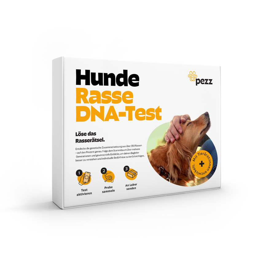 Bundle Box Produkt 03