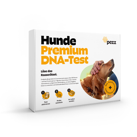 Hunde Rassebestimmung & MDR1 & GenScreen DNA-Test