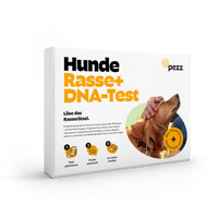 Hunde Rasse & MDR1 DNA-Test