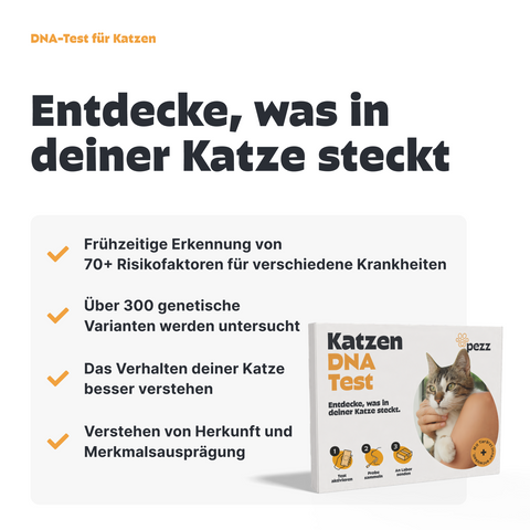 2in1 Analysen: DNA Test & PCR Wurmtest für Katzen