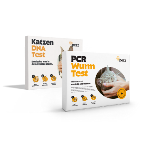2in1 Analysen: DNA Test & PCR Wurmtest für Katzen