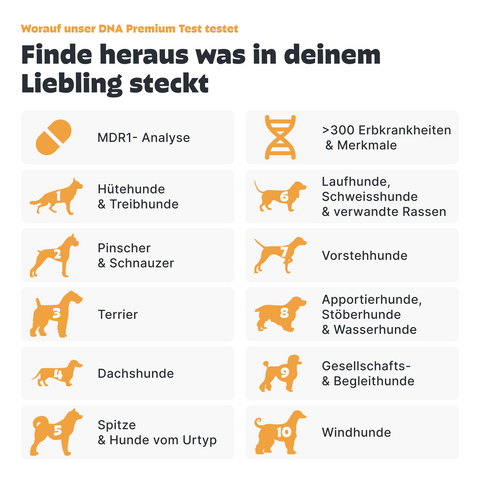 Hunde DNA Premium Test