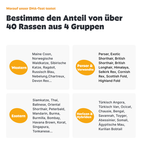 Katzen DNA Test