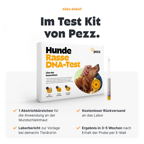 Hunde Rassebestimmung DNA-Test