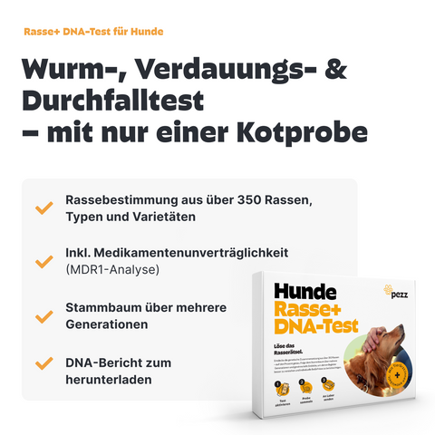 2in1 Analysen: DNA Test inkl. MDR1 & PCR Wurmtest für Hunde