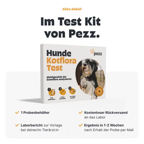 Hunde Kotfloratest