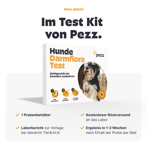 Hunde Darmfloratest