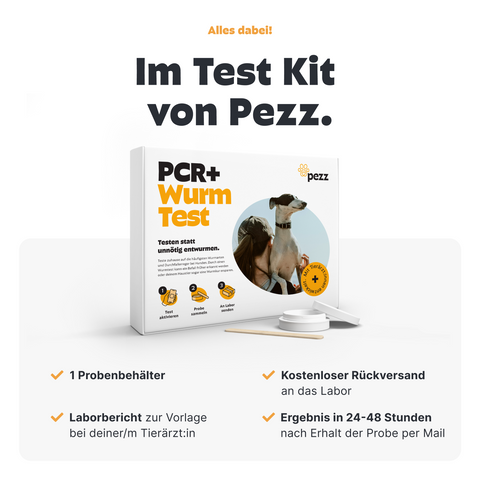 Hunde Wurmtest PCR+