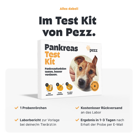 Hunde Pankreastest