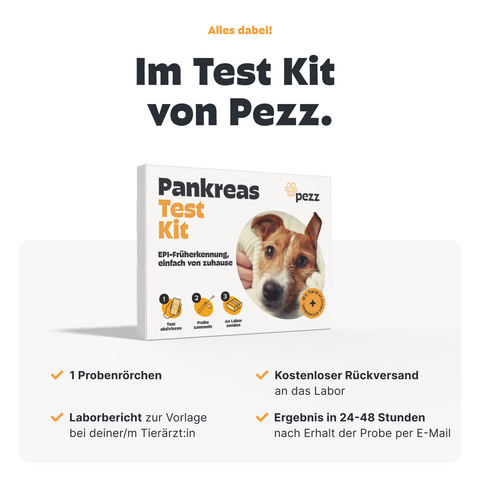 Hunde Pankreastest