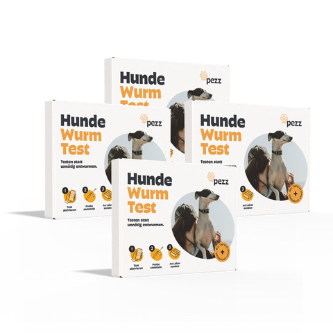 Hunde Wurmtest