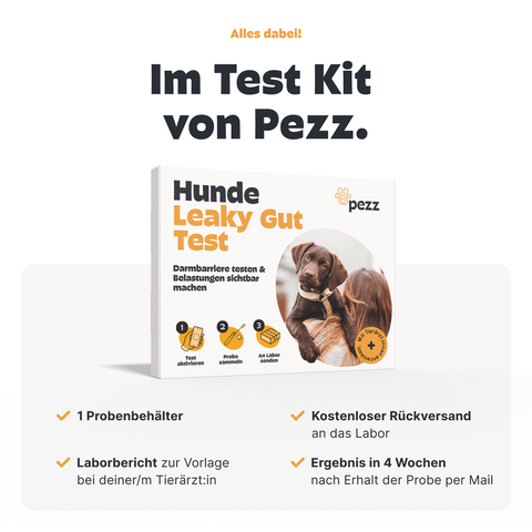 Hunde Leaky Gut Test