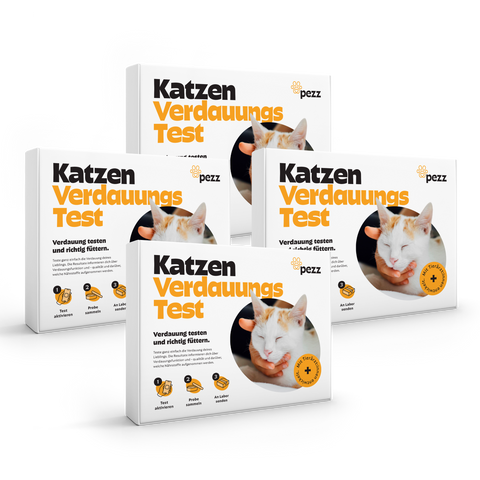 Katzen Verdauungstest