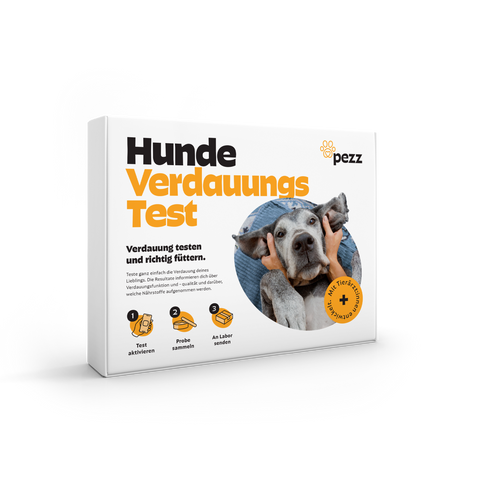 Verdauungstest