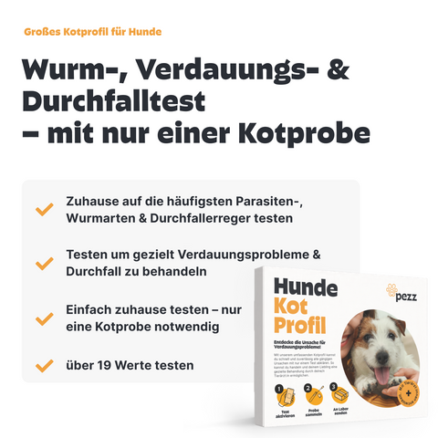 2in1 Analysen: Großes Kotprofil & Urintest für Hunde