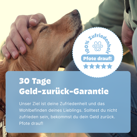 Hunde Rassebestimmung & MDR1 & GenScreen DNA-Test