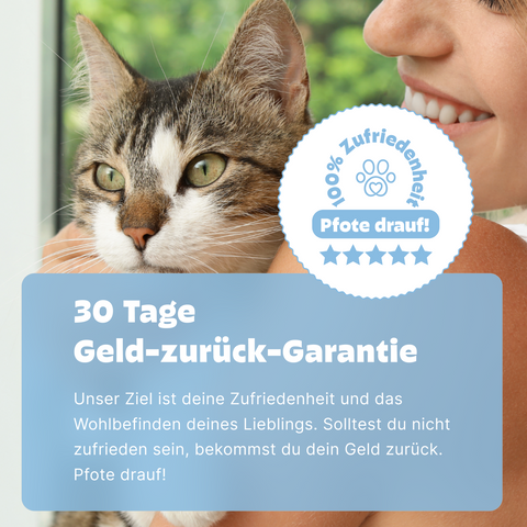 Katzen DNA Test