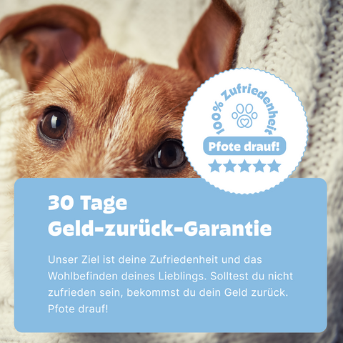 Hunde Pankreastest